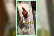 熟悉娱乐吃瓜群众,吃瓜群众眼中的明星幕后故事