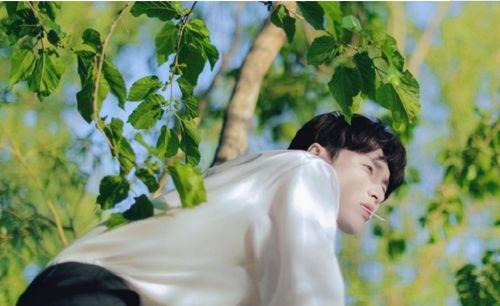 吃瓜娱乐张艺兴